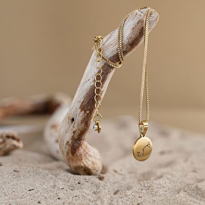 Ketting met sterrenbeeld